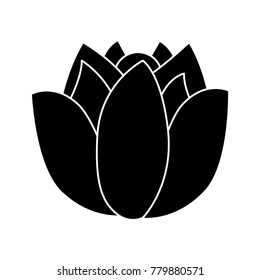 flower wild icon image 