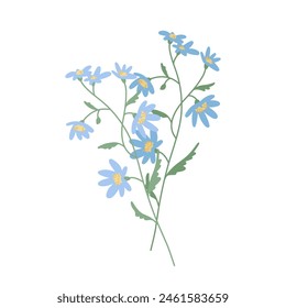 Flower. Wildflower branch. Spring summer delicate fragile flora. Floral flat hand drawn vector illustration on white background