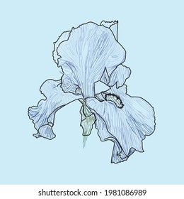The flower will look good on postcards or promotional items