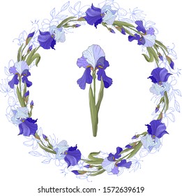 flower wreath with blue irises, on an isolated white background. Holiday floral border for your season design. beautiful garden flowers.