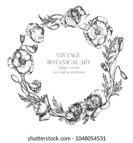 Flower wreath of poppy flowers, buds and leaves. Botanical hand drawn realistic illustration with indian ink. For artwork, invitation, card in vintage style