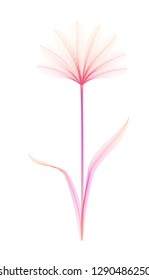 Flower x-ray or blend effect. Floral design. Elegant bloom