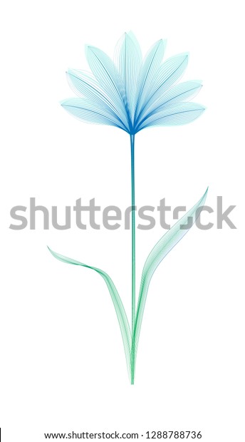 Flower Xray Blend Effect Floral Design Stock Vector Royalty Free 1288788736