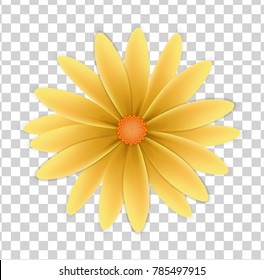 flower with yellow petals and yellow center on a transparent background