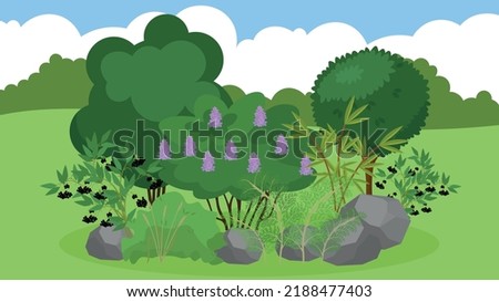 flowerbed with flowers and trees