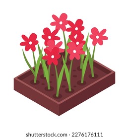Flowerbed isometric icon with blooming red flowers 3d vector illustration