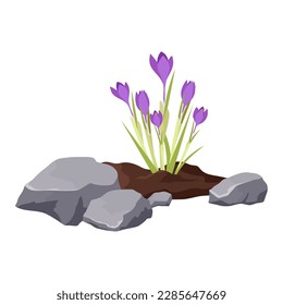 Blumenbeet mit Steinen gesäumt. Kräuselblumen in einem Blumenbett gepflanzt. Frühlingsblumen wachsen.