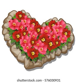 Flowerbed with Petunia in the form of heart  isolated on white background. Gift for loved on Valentine's day. Cartoon vector illustration close-up.