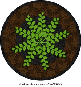flowerbed view from above vector