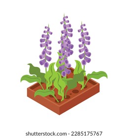 Flowerbed with violet flowers isometric icon 3d vector illustration