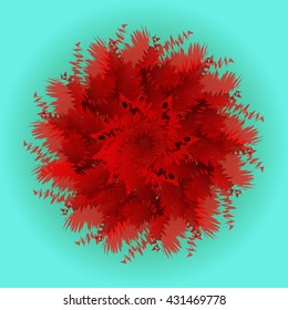 Flower-blown carnations. Memory Colors, school, cottages