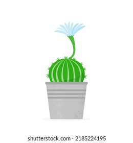 Flowered cactus in a flat style. Blossomed house succulent in pot. Vector illustration