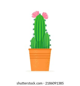 Flowered cactus in a flat style. Blossomed house succulent in pot. Vector illustration
