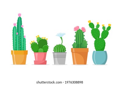 Flowered cactus set in a flat style. Different home cacti in pots. Blossomed house succulents. Isolated vector 