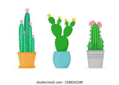 Flowered cactus set in a flat style. Different home cacti in pots. Blossomed house succulents. Vector illustration