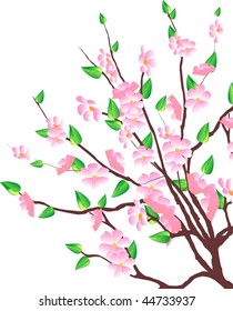 flowered tree