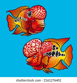 Flowerhorn fish or Lao Han fish