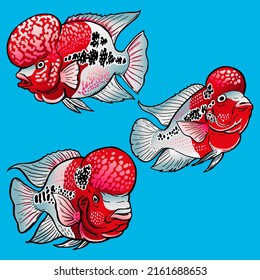 Flowerhorn fish or Lao Han fish