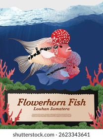 Flowerhorn or Louhan Indonesian fish handdrawn illustration