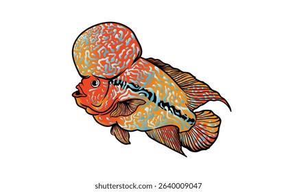 flowerhorn with separate white background