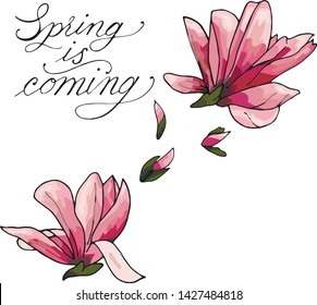 flowering almond set isolated in vector