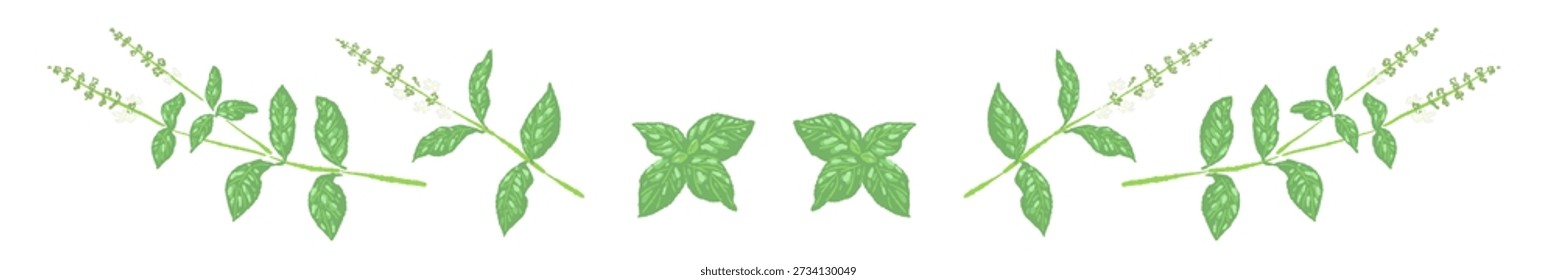 Divisor de línea de tallo de albahaca en flor
