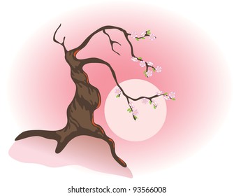 Flowering bonsai and the morning sun. Vector illustration
