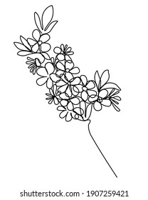 Flowering branch of apple tree Continuous Line Drawing for print, beauty, organic, etc. Sketch of Flowers Spring concept. One Line in trendy minimalistic style. Vector Illustration. 