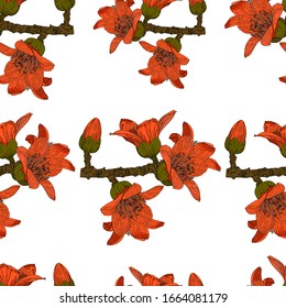 Flowering branch of the ceiba tree. Bright red-orange flowers on a white background. Seamless pattern.