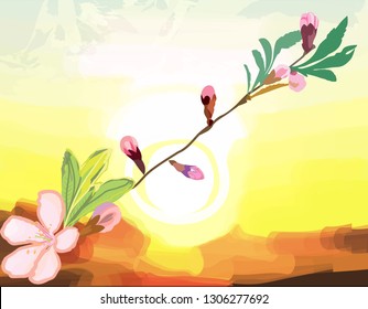 Flowering branch of cherry against the dawn sky