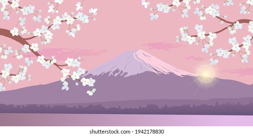 Flowering branch of cherry blossoms on the background of mount Fuji. A snowy mountain top in the sunlight. Realistic vector illustration of falling white petals. Morning spring landscape in Japan.