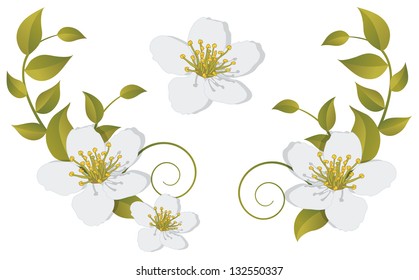 Flowering branch - design elements. EPS10. Contains transparent objects used for shadows drawing.