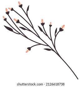 Flowering branch of a fruit tree. Branch of pear, apple, peach with small flowers. Spring season. Isolated on white background