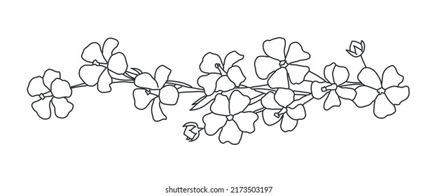 Rama florida. Ilustración vectorial dibujada a mano. Blanco y negro.