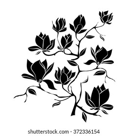 Flowering Branch of Magnolia on white background . Hand drawn vector illustration, sketch. Elements for design.