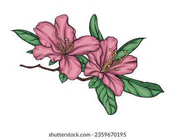 flowering branch of rhododendron, hibiscus, chinese rose with flowers and leaves