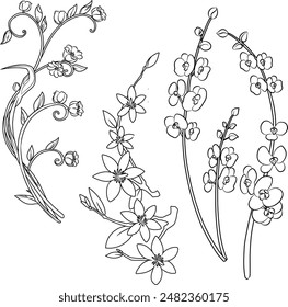 Flowering branch vector illustration. Doodle style. Isolated on white background. 