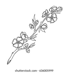 Flowering branch vector illustration. Doodle style. Isolated on white background.
Flowering branch. Cloth, print, design, icon, logo, poster, paper, card, invitation, cloth, wrapping, wallpaper.Eps10
