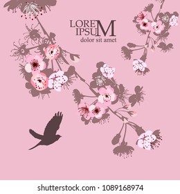 Flowering branches of cherry silhouette with a bird. Vector