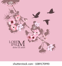 Flowering branches of cherry silhouette with birds. Vector