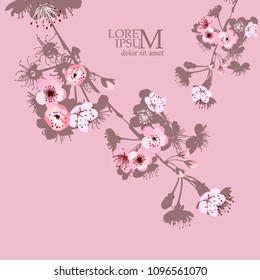 Flowering branches of cherry silhouette. Vector