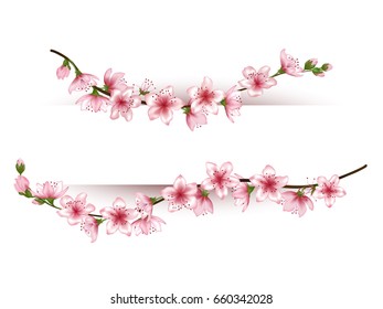 Flowering branches vector frame illustration, tree blossom flowers border template for card or banner. Realistic design isolated on white background. Pink cherry flowers, buds on twigs.