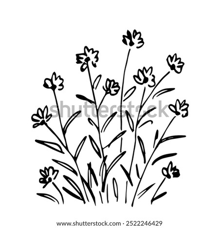 Similar – Image, Stock Photo Flowering bush