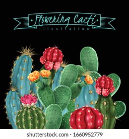 Flowering cacti colorful botanical composition on black background including gymnocalycium and pin cushion cactus vector illustration  