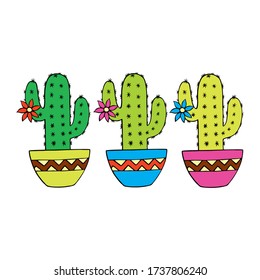 Flowering cacti in pots. Cool color illustration for printing on clothes and objects