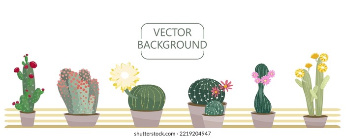 Flowering cacti vector background. Different blooming houseplants in pots on a shelf. Cute succulents of various colors and shapes. Elements are isolated on white