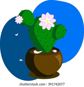 flowering cactus