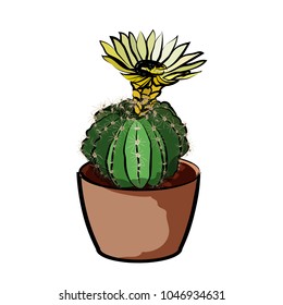 Flowering cactus in a clay pot. Element of home decor. The symbol of growth and ecology. Vector illustration. Eps 10