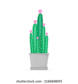 Flowering cactus in a flat style. Blossomed house succulent in pot. Vector illustration