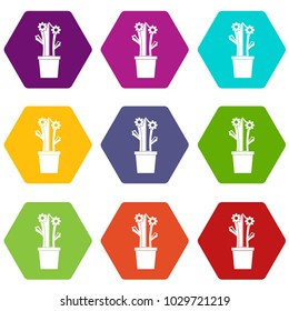 Flowering cactus icon set many color hexahedron isolated on white vector illustration